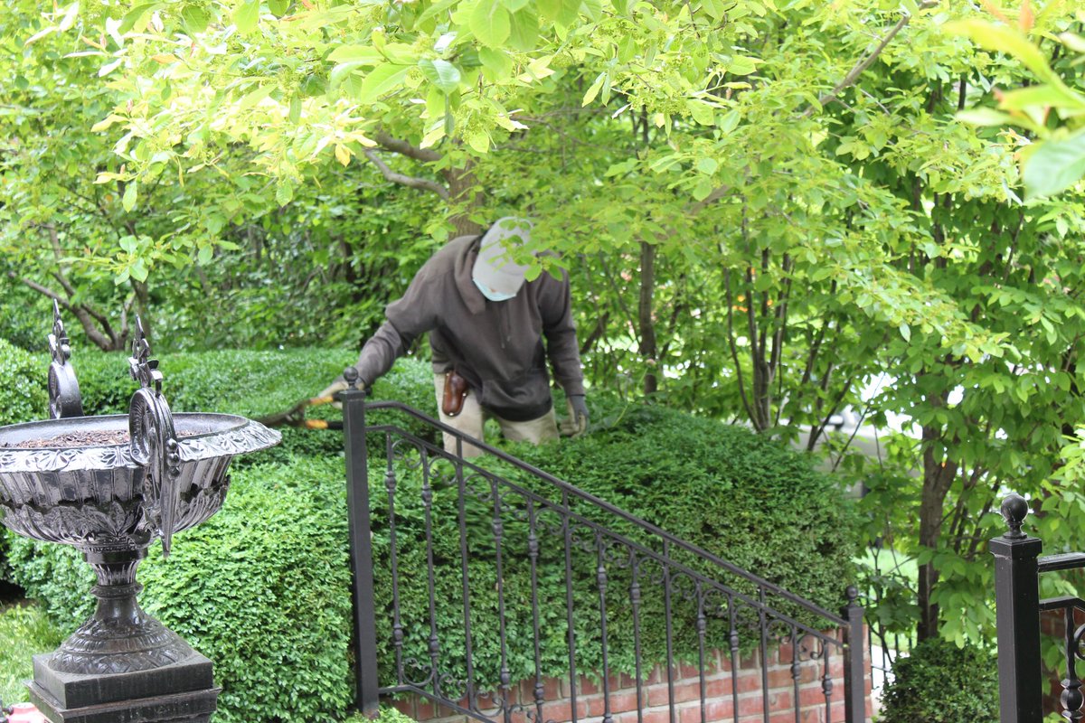 Landscape_STL's tweet photo. Landscape St. Louis working hard to get your property ready for the summer months ahead! https://t.co/goghhQQ0cO