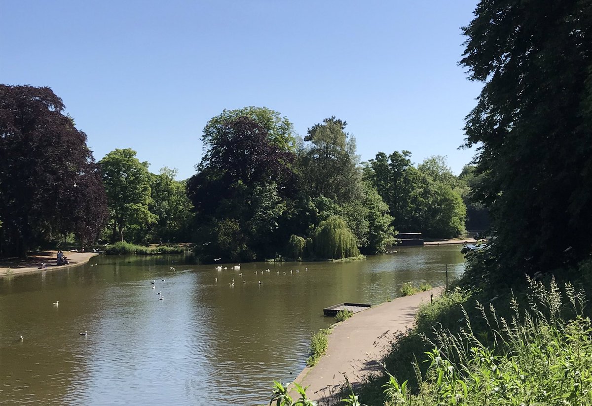 GuyJane's tweet image. Beautiful start to #30DaysWild with a desk free day giving time for a lovely long walk through @EastvillePark and @snuffmills taking in the swans &amp;amp; geese and their young, a pair of herons and ducks galore en route #perfectmonday