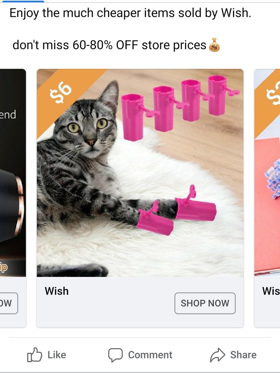 _amanduh_92's tweet photo. Why does a cat need this? @WishShopping I need answers. https://t.co/5SENDSBxx7