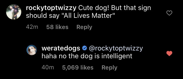 adding the guy who runs <a href="/dog_rates/">WeRateDogs</a> to the list of acceptable white men