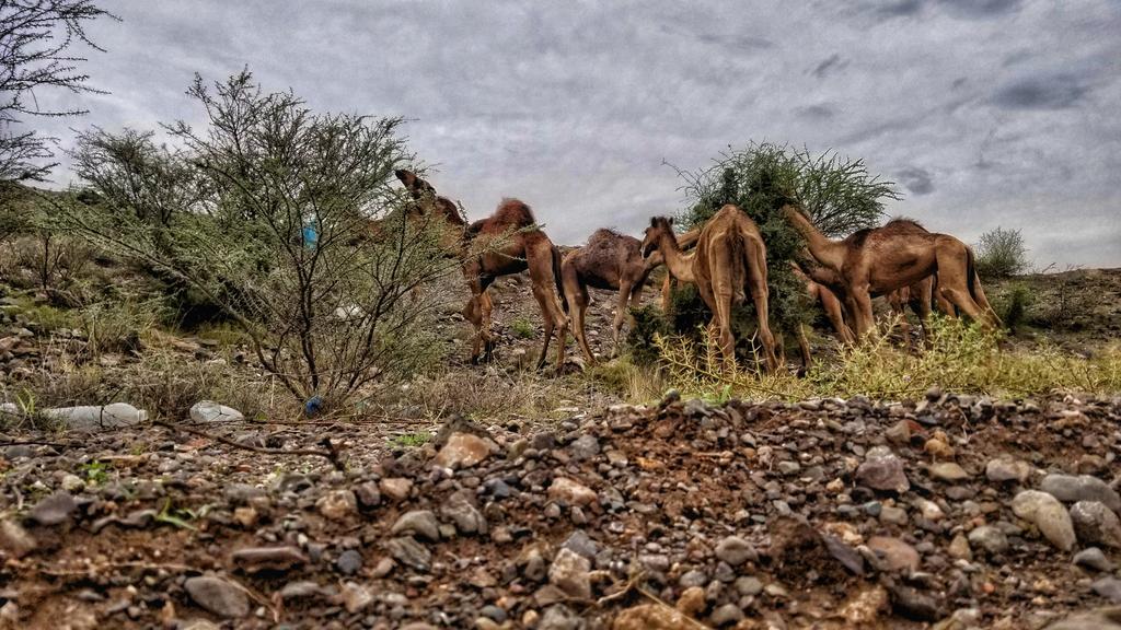 ريف محافظة أب #اليمن