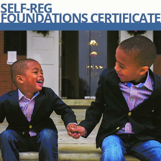 The MEHRIT Centre tweet media