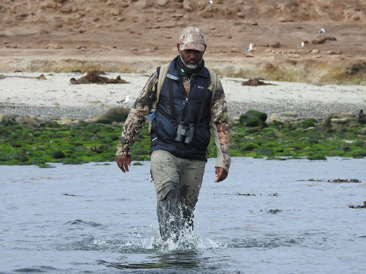 I’m a wildlife biologist, primarily conducting research on pinniped and cetacean species in the California Current Ecosystem. Love working and playing in the great outdoors. #BlackInNature #BlackAFinSTEM