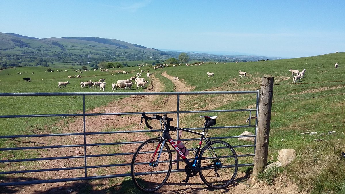 huwlewis2's tweet photo. Al fresco breakfast Buck's Fizz followed by a spectacular morning with the all new socially distanced #MellowVelo
You couldn't have chiselled the grins off those faces........ https://t.co/IybLRi7pFN