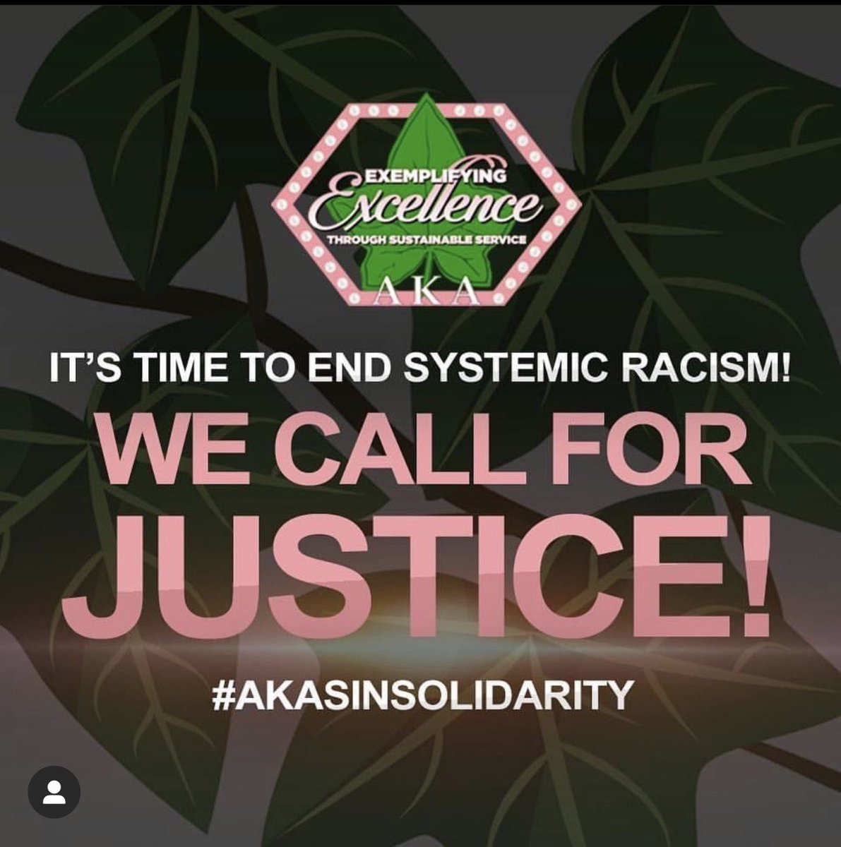 AKAEpsilonRho's tweet photo. #akasinsolidarity https://t.co/ls0HvWOx50