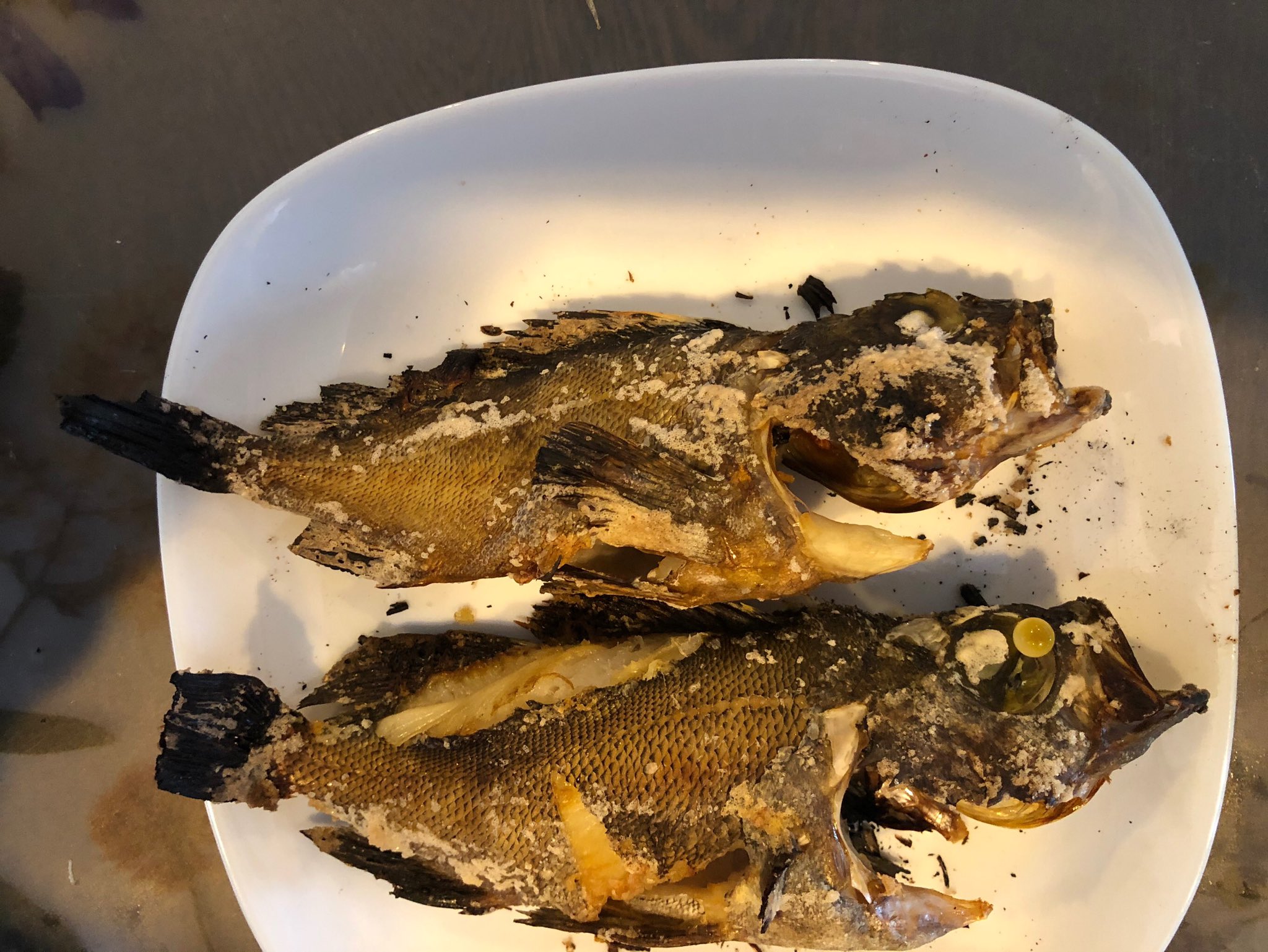 メバルの塩焼き Twitter Search Twitter