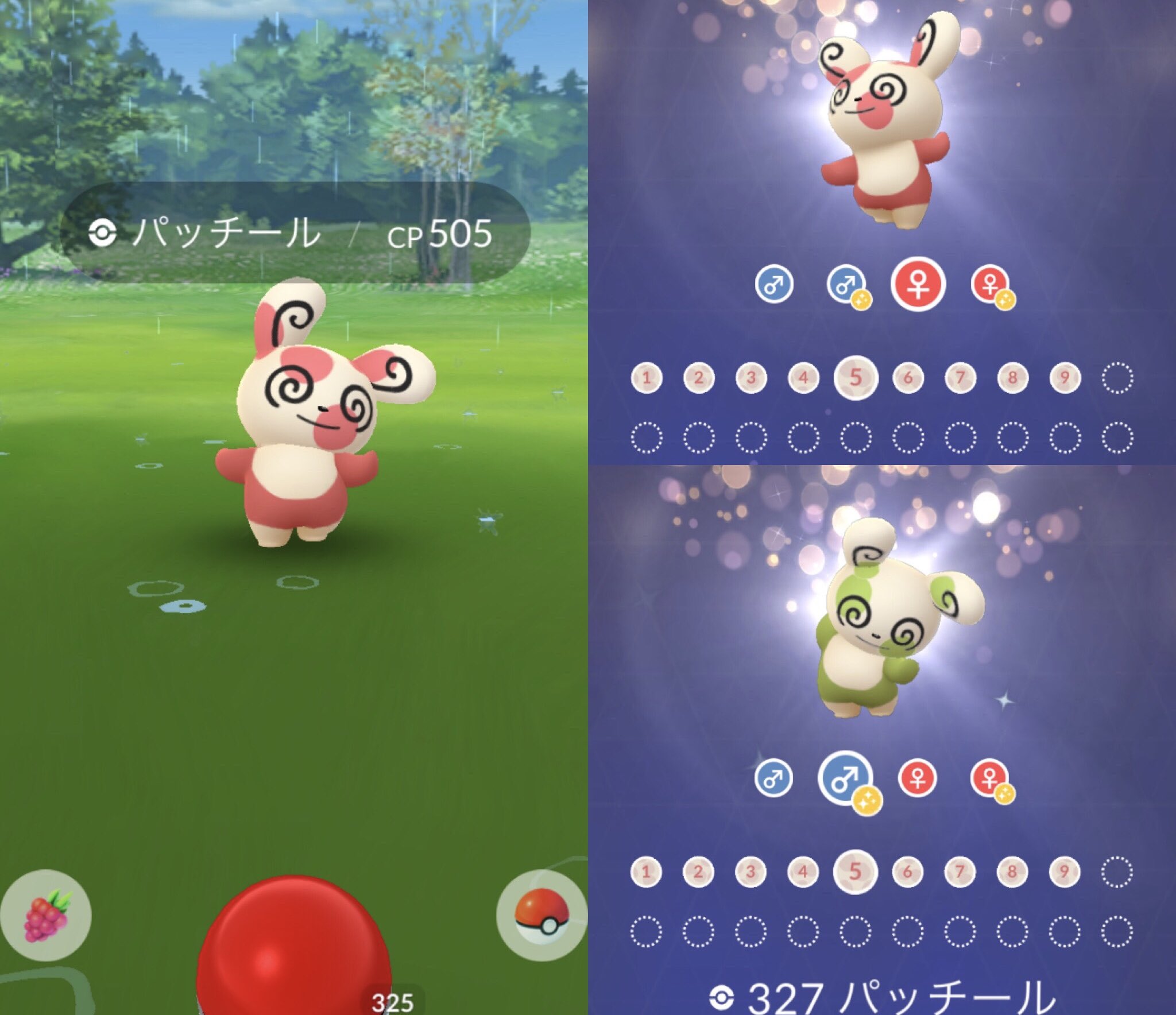 تويتر ひかぴか 目標 色違いアンノーンコンプ على تويتر ポケgoメンテ終了か 6月2日からのパッチールは 5番 New Spinda Form 5 色違いパッチールに期待ですね ポケモンgo Pokemongo パッチール Spinda パッチール番号 パッチール模様 Spindaform 色 تويتر ひかぴか 目標 色違いアンノーンコンプ على تويتر ポケgoメンテ終了か 6月2日からのパッチールは 5番 New Spinda Form 5 色違いパッチールに期待ですね ポケモンgo Pokemongo パッチール Spinda パッチール番号 パッチール模様 Spindaform 色