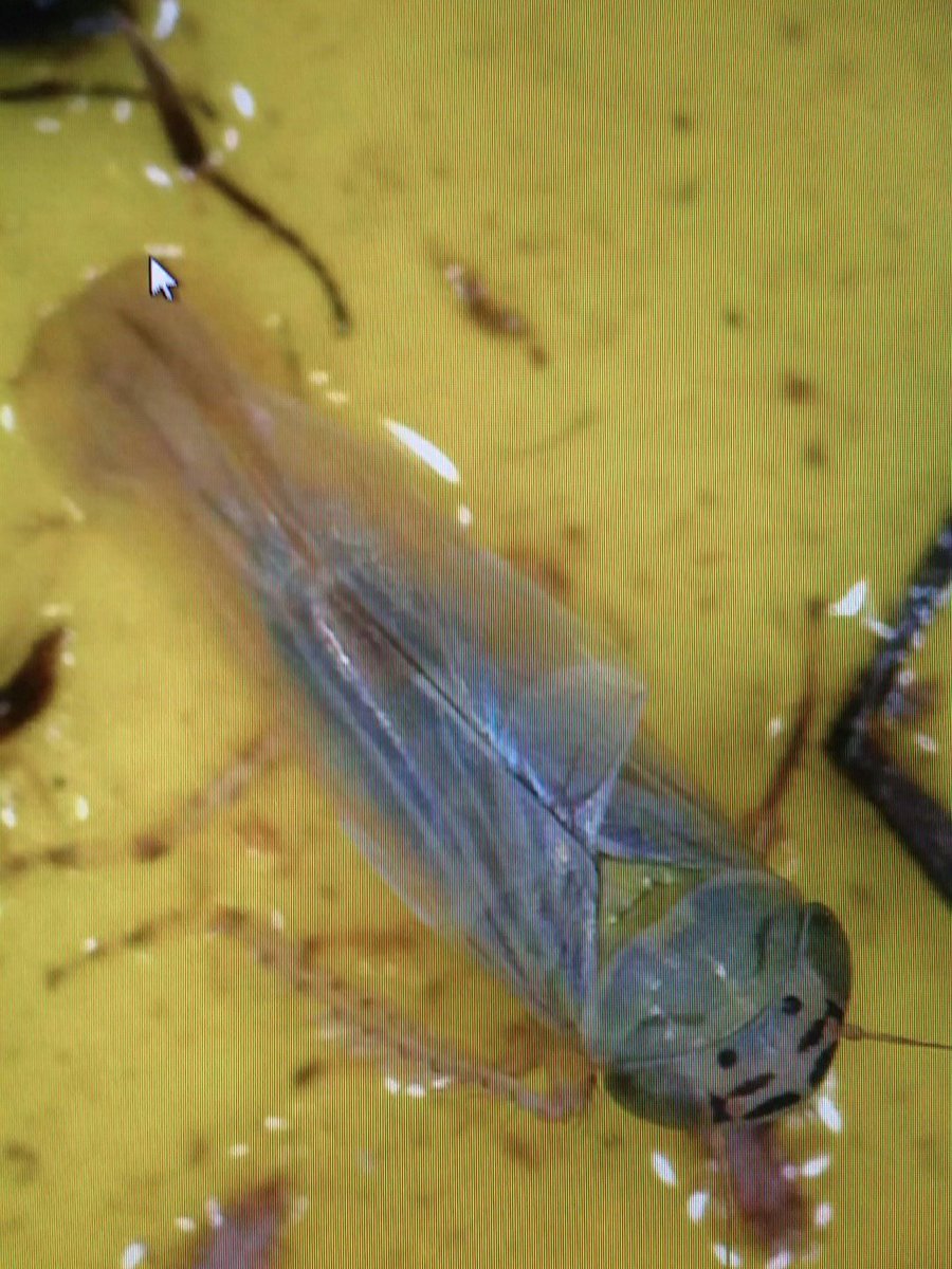 Tyler Wist tweet media