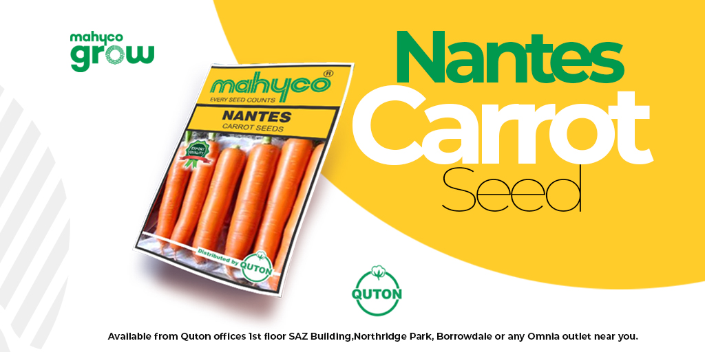 Quton Seed Company tweet media