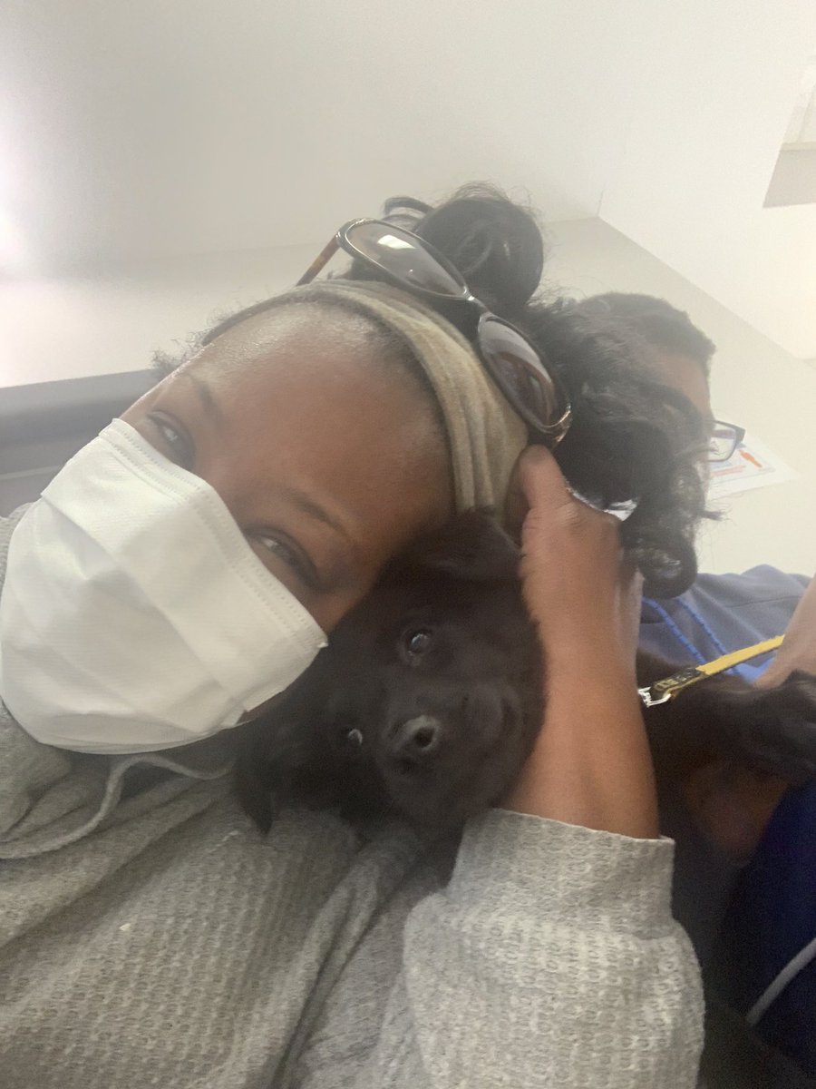 warehouse1976's tweet photo. Little Miss Loretta’s first wellness visit.   #dogmoms https://t.co/KKGzilZDAK