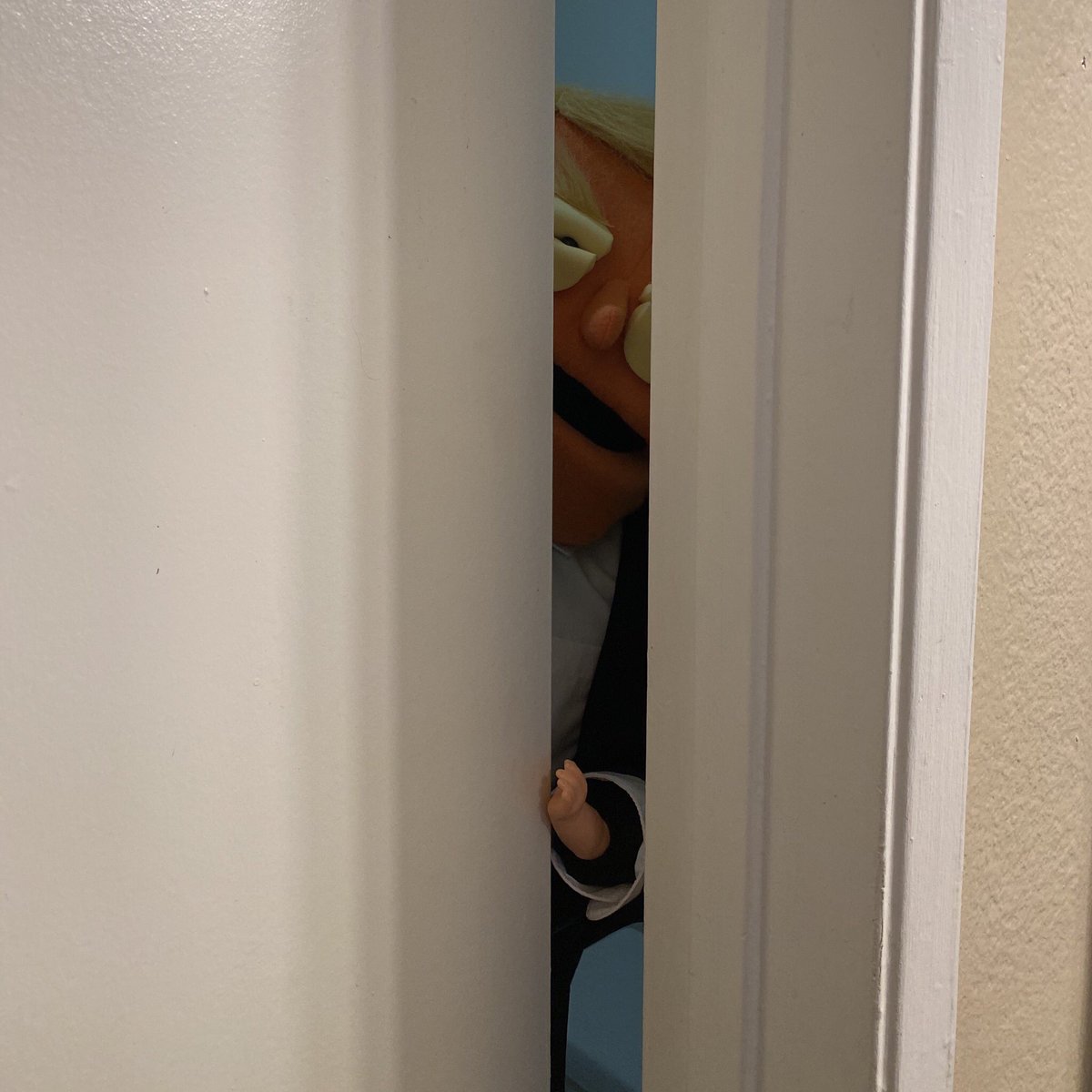 Trumpuppet's tweet photo. Are they gone? #freedom #bravery
#MAGAnight https://t.co/8MSpfkUm4f