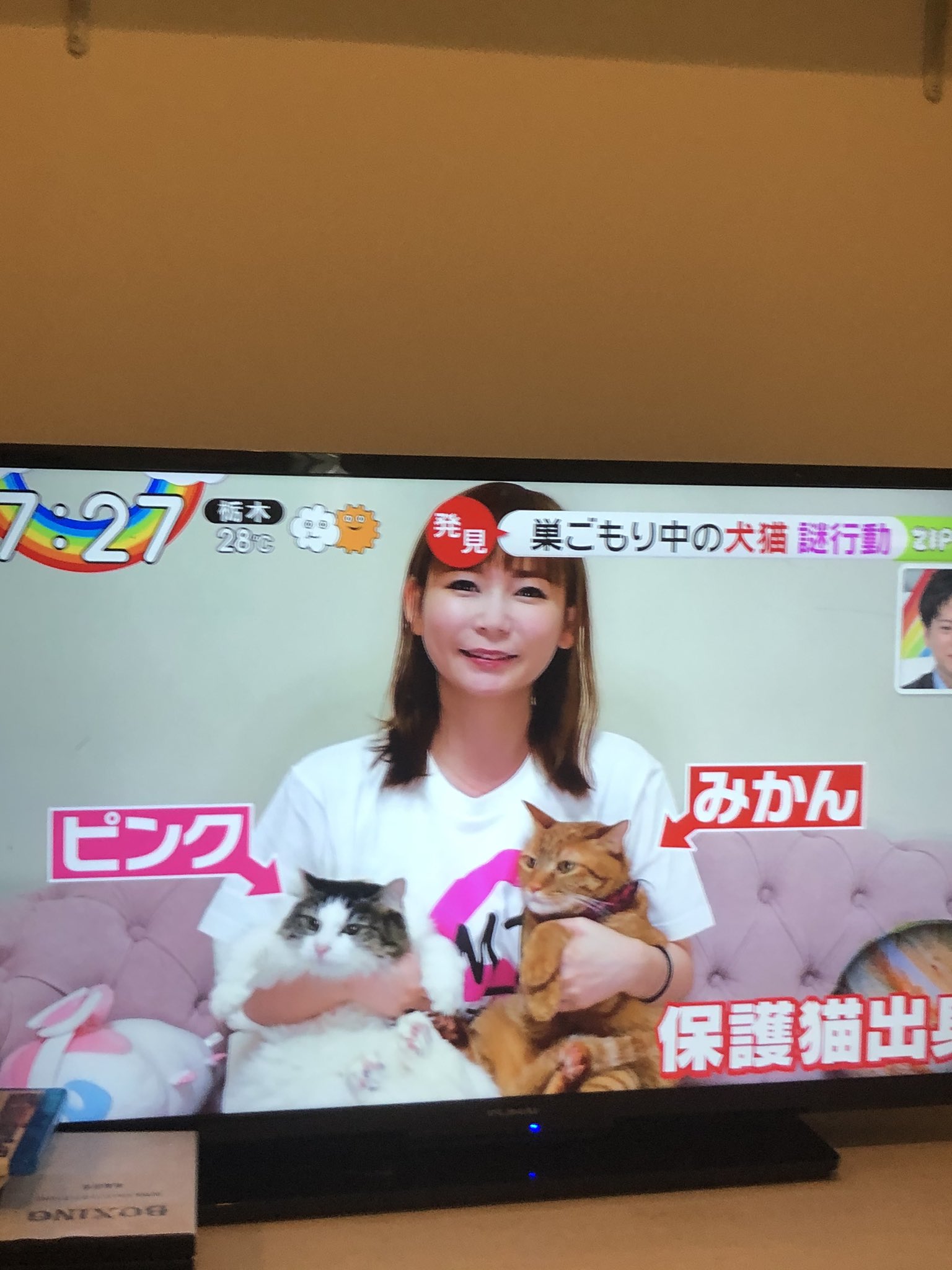 FRIDAYビックサマー号 2007年7月23日号【中川翔子 携帯用シール