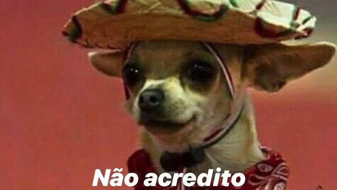 exposediario's tweet photo. pessoa: o mundo vai acabar em 2020
eu: só acredito vendo

eu vendo o mundo acabar em 2020:

#ebola #anonymous #exposed 
eu estava lá https://t.co/RPMWRxrFzy