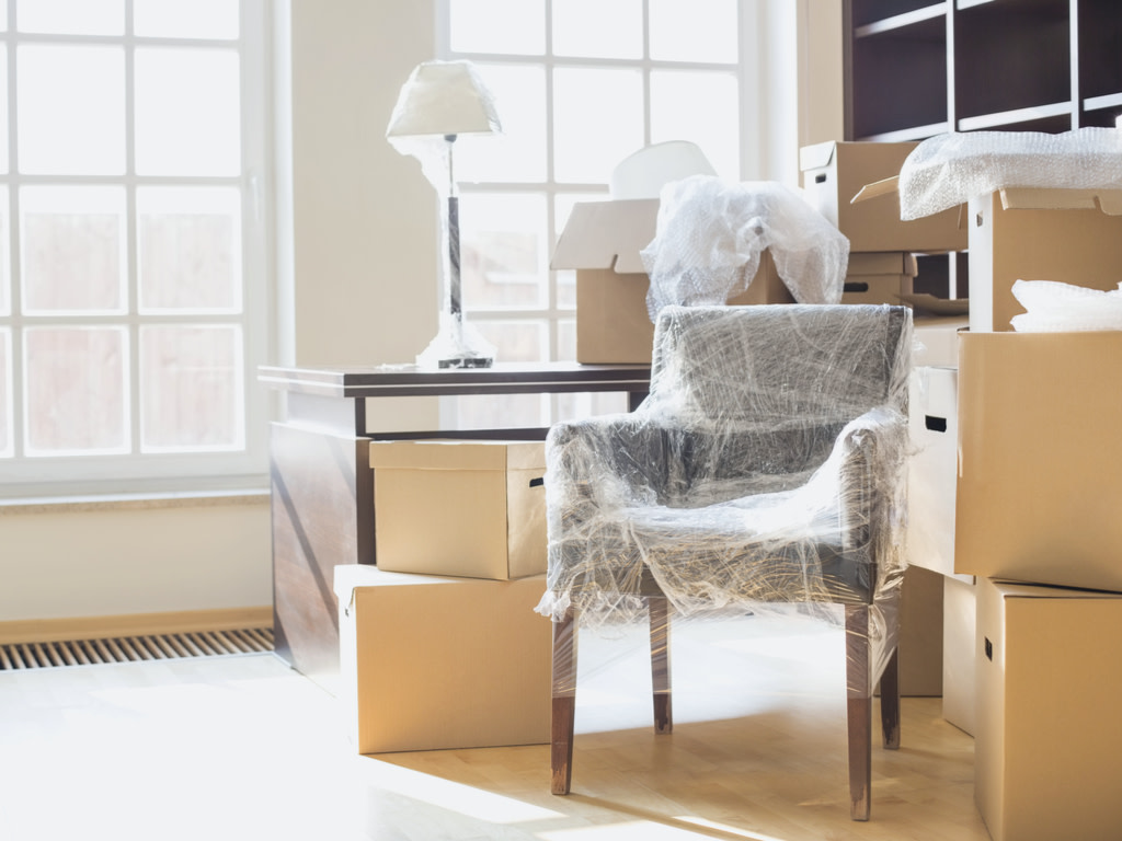 zipLogix™ tweet media