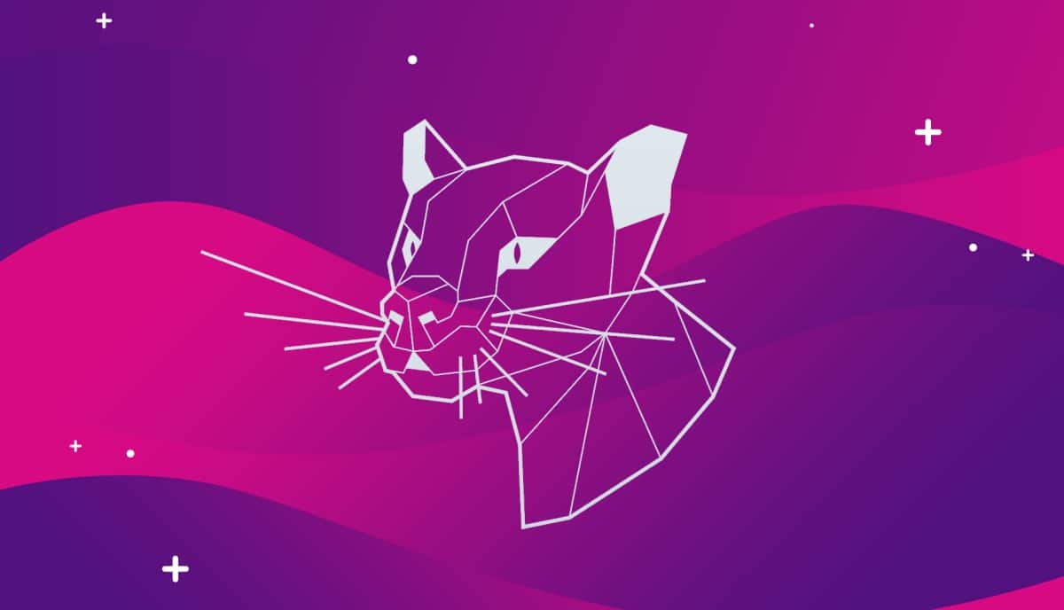 BinariaUno's tweet photo. Cómo actualizar a Ubuntu 20.04 Focal Fossa
https://t.co/qIzyAj8myR https://t.co/oYlgXdItpO