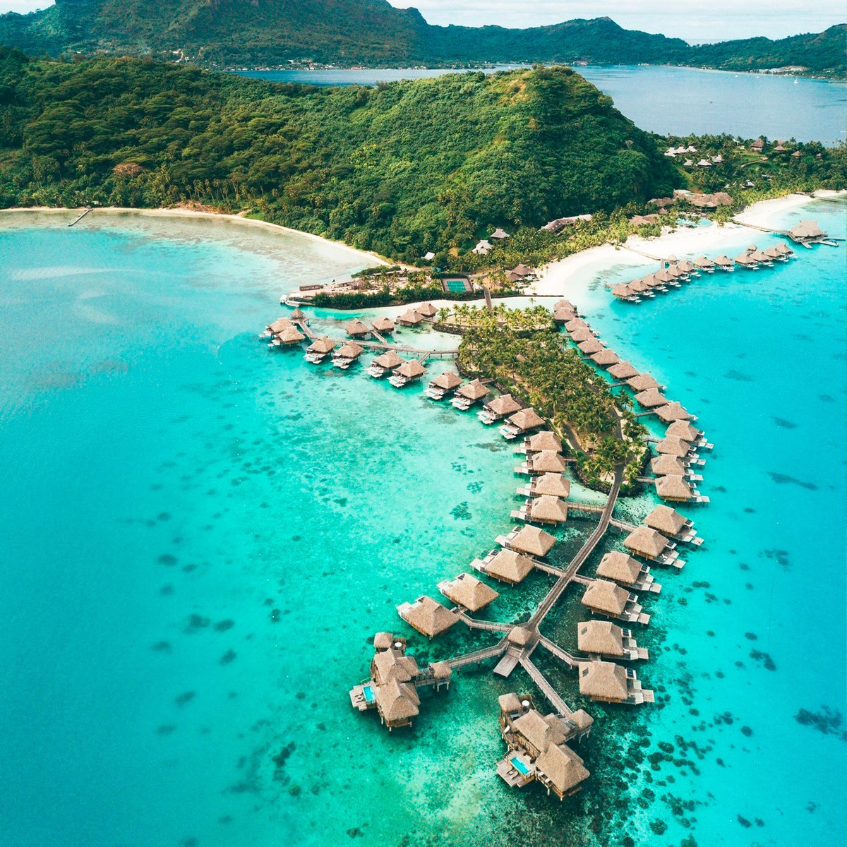 ViajarBaratoBR's tweet photo. Bora Bora, Ilha na Polinésia Francesa.

#viajarbarato #viagem #BoraBora #Polinésia #Ilha #Word #Musaingplaces #photography #adventure #paradise #naturelovers #explore #happiness #lightroom https://t.co/8mKYkvCI9F
