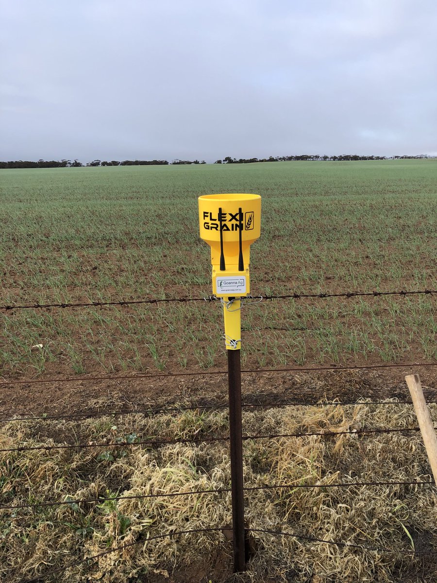 Thanks Flexi grain for the rain gauge.