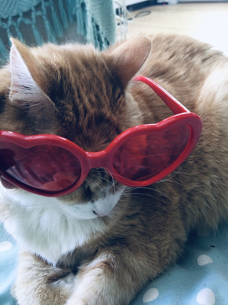 KristinStefankiewicz tweet media