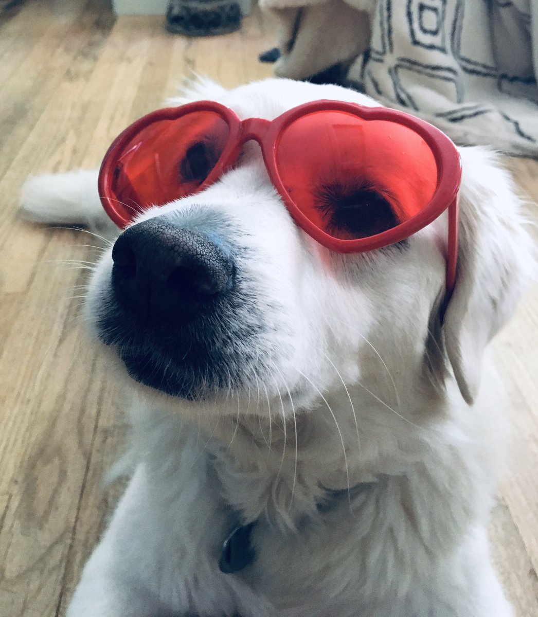 KristinStefankiewicz tweet media