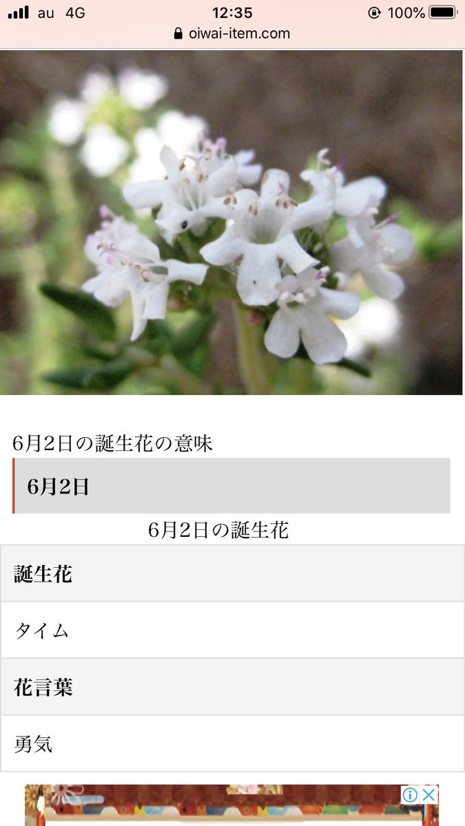 横浜コーンバレー 24時まで頑張ってます Pa Twitter おはようございます 6 2 火 今日の横浜は雷を伴う雨曇り時々晴れ 誕生カクテルはベリーベリーミルク 誕生花はタイム だそうです 今日も良い日であります様に 横浜居酒屋 横浜グルメ 横浜西口