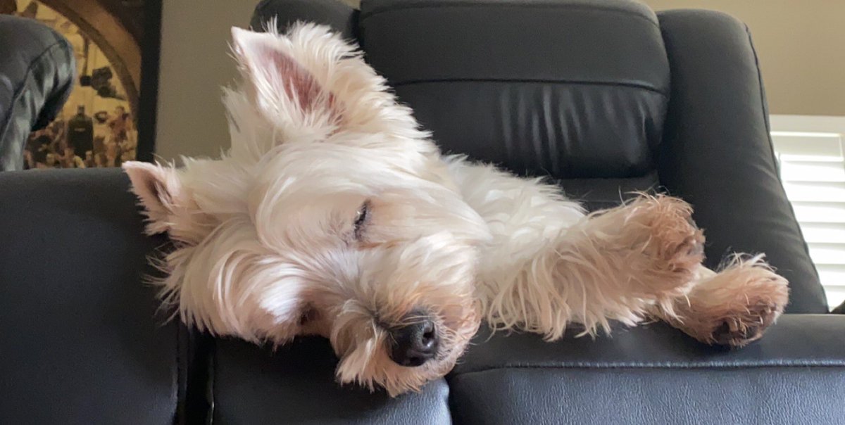 Quarantine b hitting different almost 3 months in