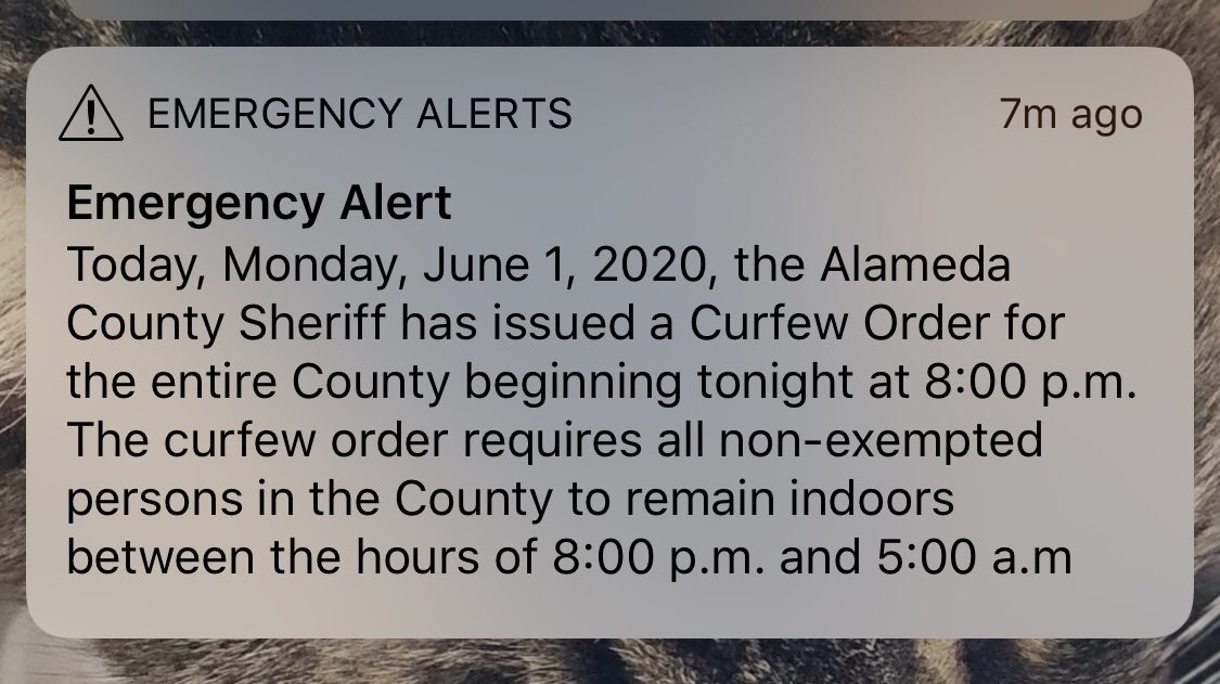 alex_lee's tweet photo. So Alameda County will basically do  martial law to stop protestors but will let Tesla workers risk Coronavirus to build luxury cars? Ok. https://t.co/OfbWSsi4cU