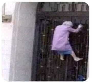 ChingonAccount's tweet image. La reina Isabel en la puerta de Anonymous pidiendole que no cuente que ella es un lagarto