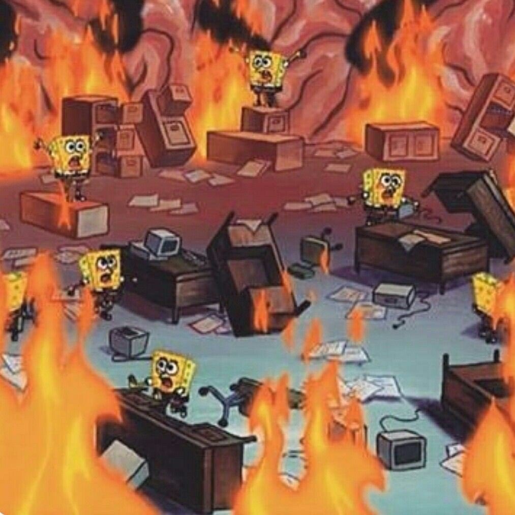 EzraDukeofHaifa's tweet image. Facebook vs Twitter

#Anonymous #PizzaGate