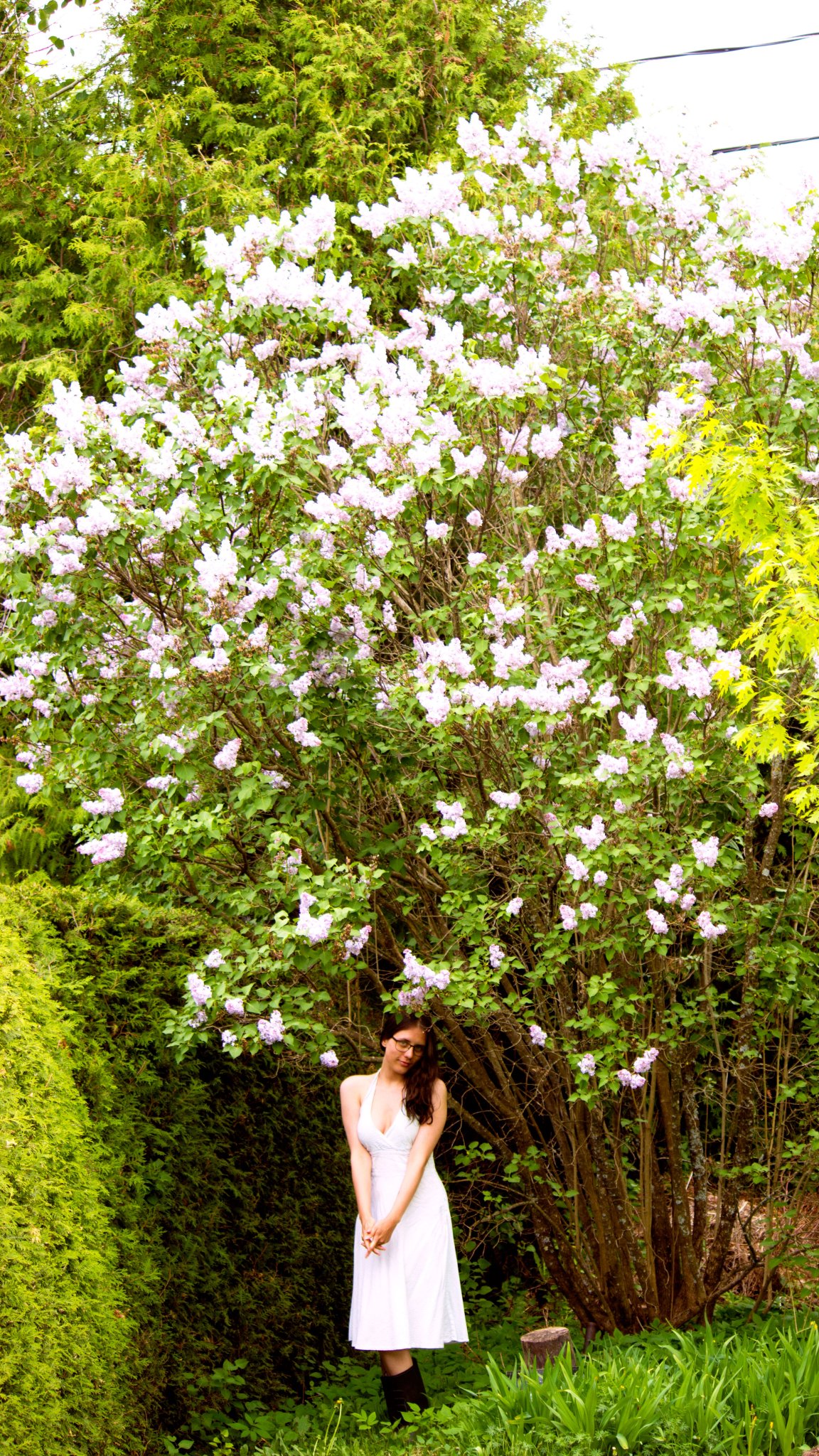 TW Pornstars - 1 pic. Saffron Bacchus. Twitter. Premium Snap Post #013