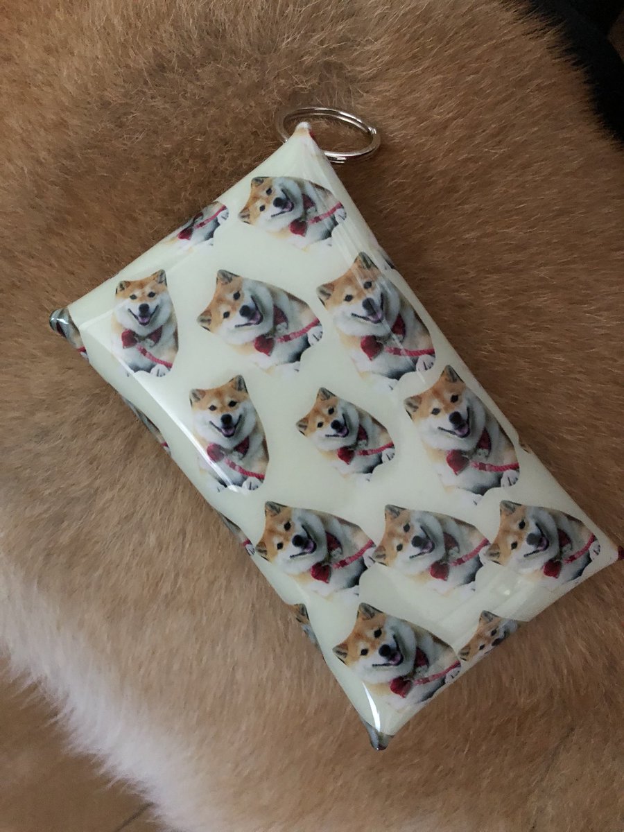 柴犬ハナ コンビニでピカチュウグミ買っちゃったー ハナちゃん自分のと勘違いしてワクワクしてたー Suzuriで作ったミニクリアケースが意外と可愛かった件 ﾁｮｯﾄ高かったけどね