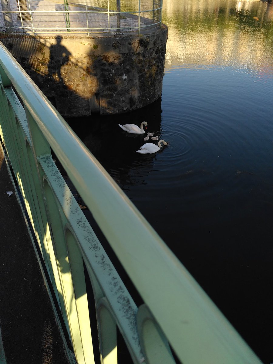 fpipard's tweet photo. Canal de l'Ourcq : https://t.co/k2N55Bsaa1