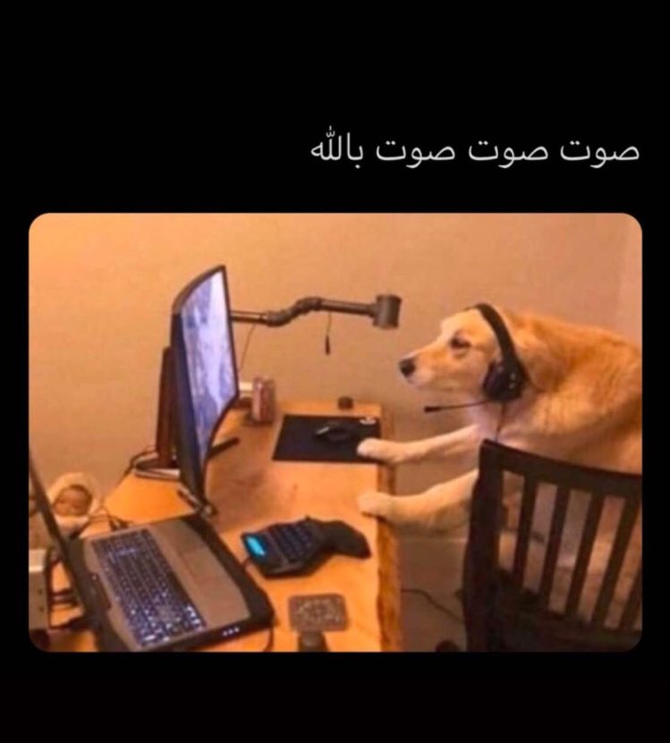 مو انا مو انا 😭😭😭😭😭😭😂 .