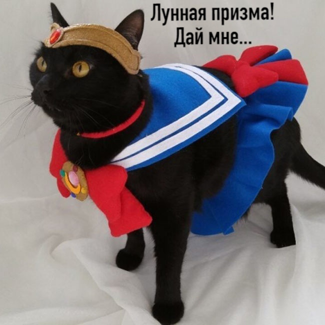 drunktwi's tweet photo. Kopoткo o мoём финaнcoвoм пoлoжeнии: https://t.co/1ScwEA4Jeg