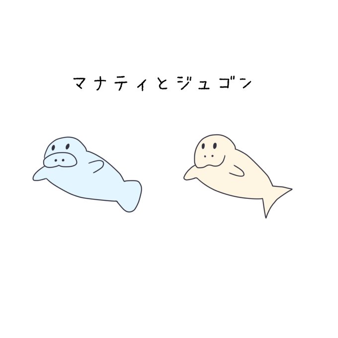 ジュゴンのtwitterイラスト検索結果