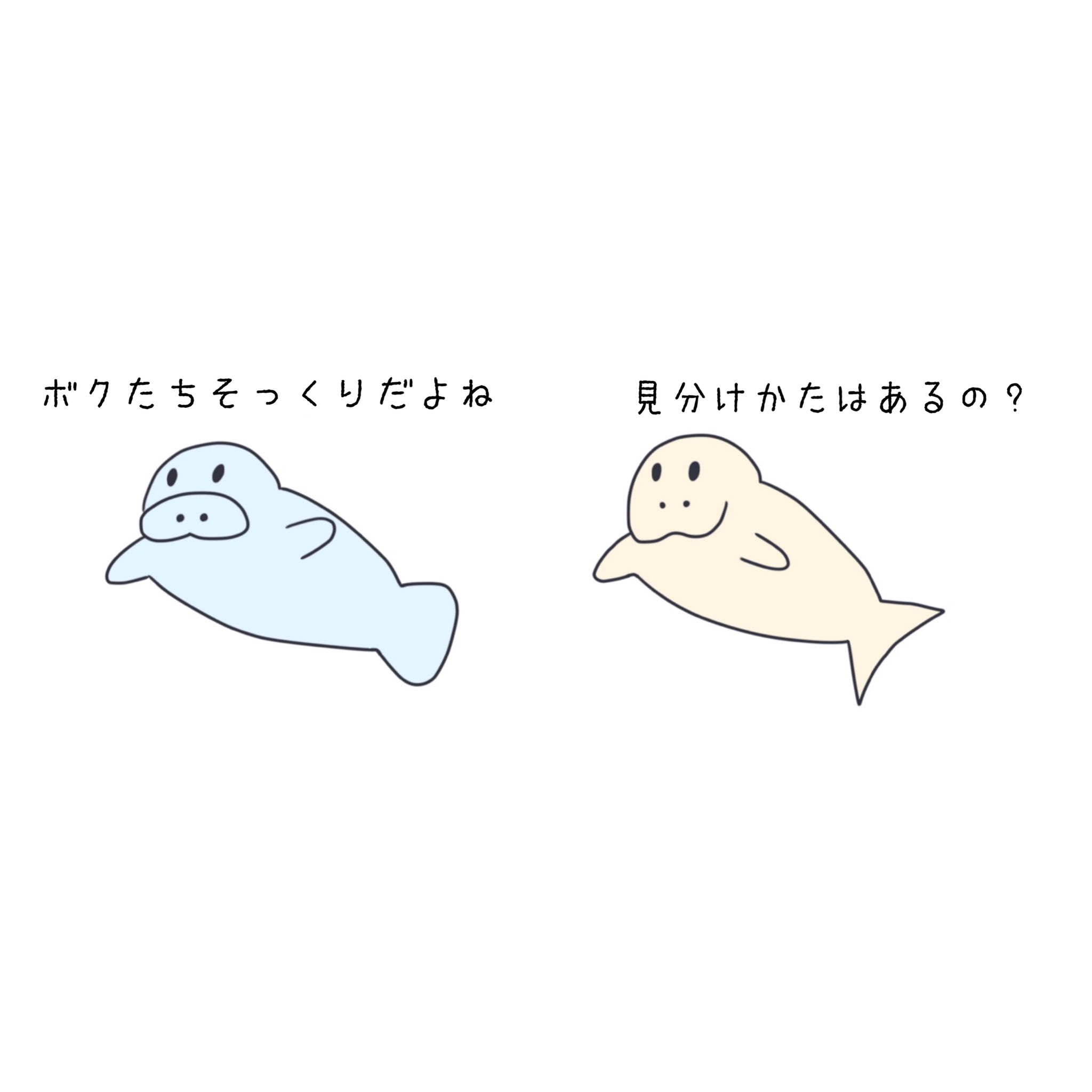 無表情な動物たち 見分けかた イラスト 無表情な動物たち マナティー ジュゴン 豆知識 水族館 ゆるいイラスト 4コマ漫画 T Co Icdgmue0 Twitter 無表情な動物たち 見分けかた イラスト 無表情な動物たち マナティー ジュゴン 豆知識 水族館 ゆるいイラスト 4コマ漫画 T Co Icdgmue0 Twitter