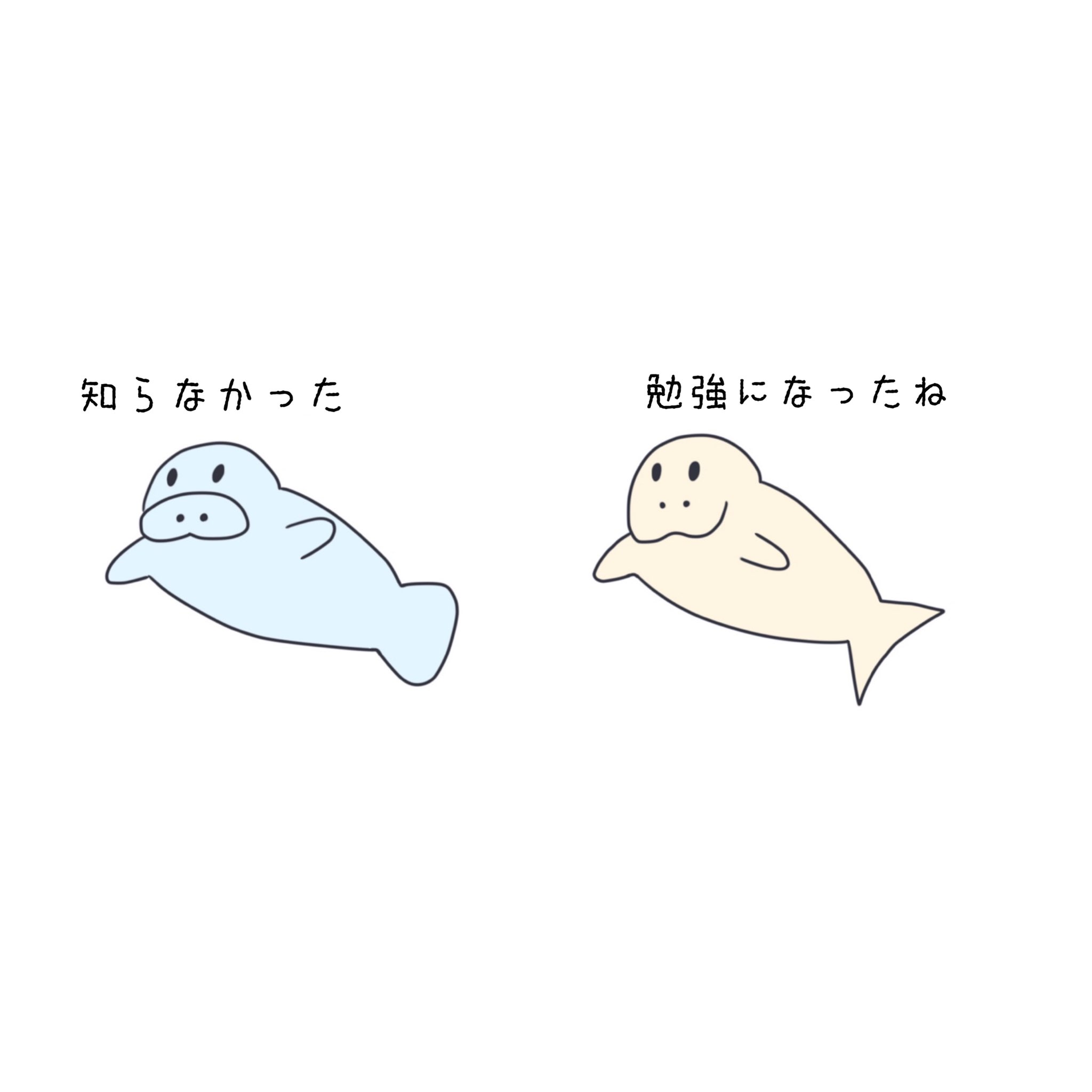 無表情な動物たち 見分けかた イラスト 無表情な動物たち マナティー ジュゴン 豆知識 水族館 ゆるいイラスト 4コマ漫画 T Co Icdgmue0 Twitter