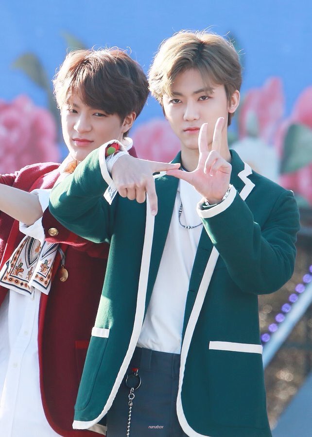 กริฟฟินดอร์กับสลิธีรินที่แท้