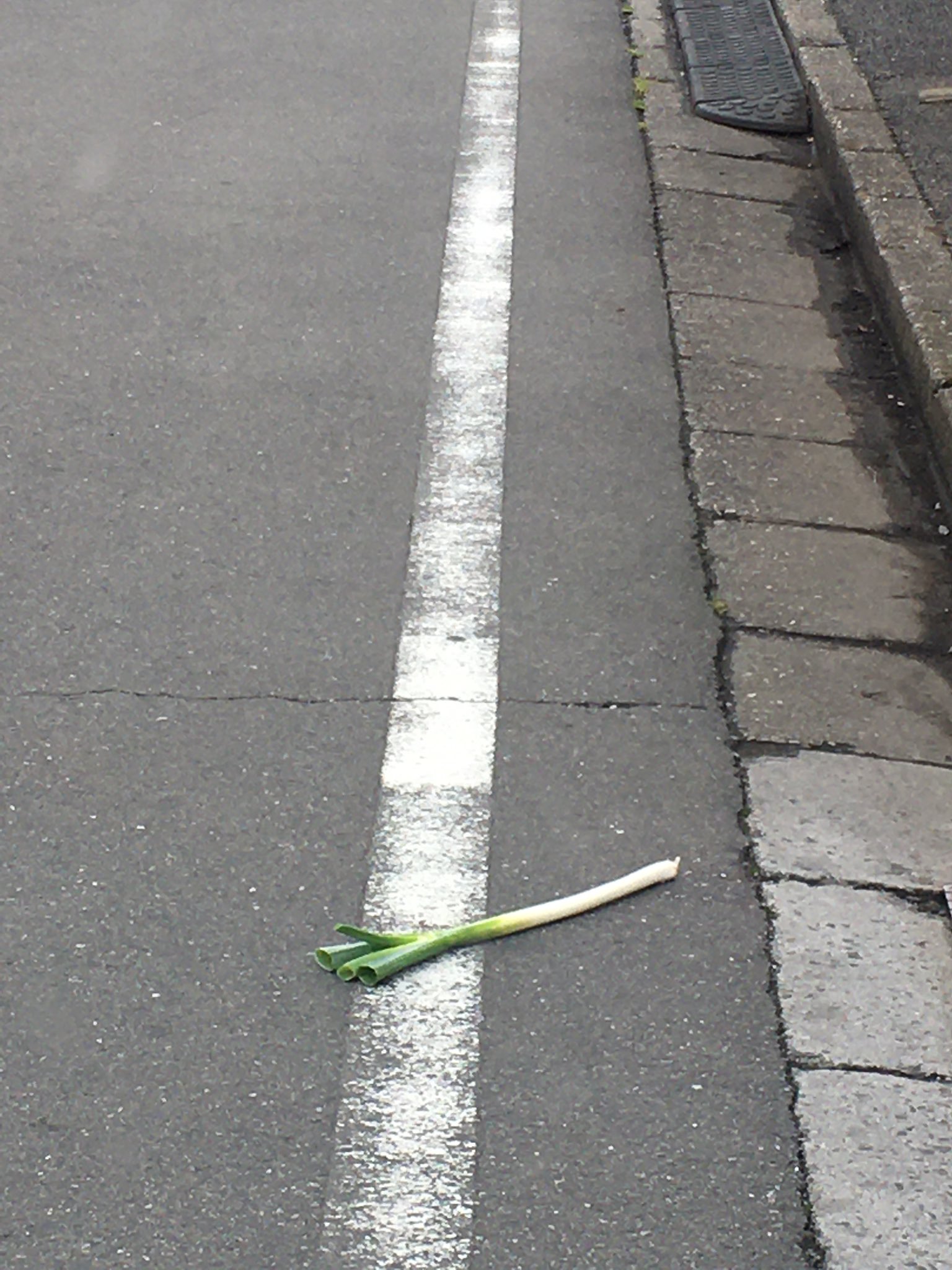 車庫 誰よあらっつぁっつぁーやりびだびりんらばりったんりんだんれんらんどぅ逃げしたの T Co Kyfqawepob Twitter