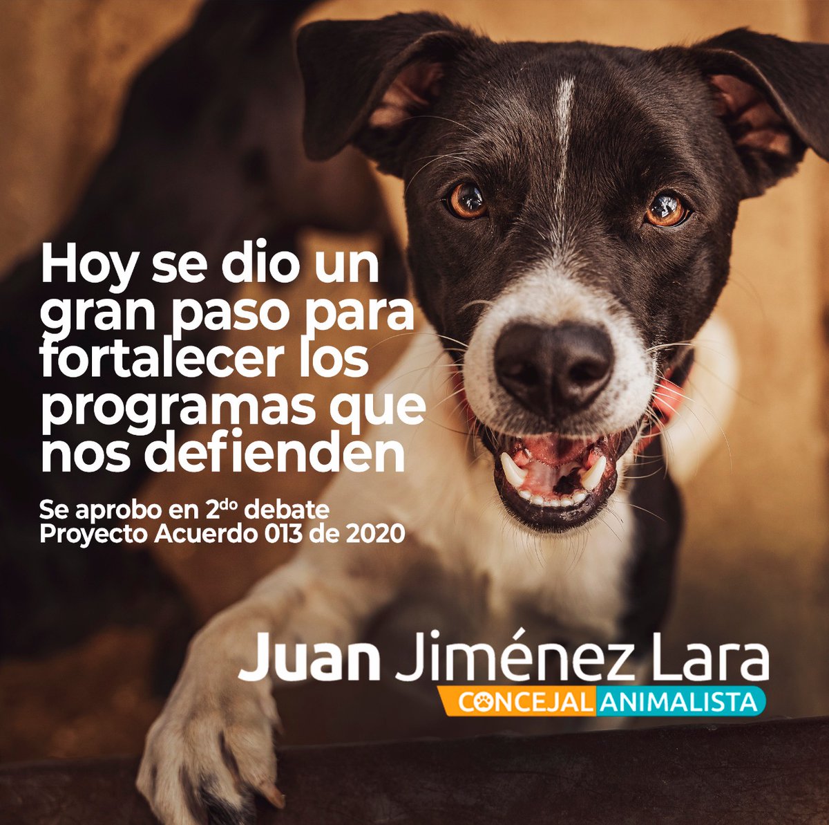 JuanJimenezLara's tweet photo. En la #MedellínFuturo se fortalecerán los programas de protección animal https://t.co/hy2dSvTRbk