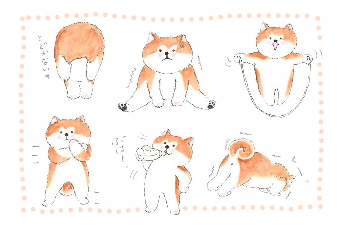 秋田犬イラスト 秋田犬イラスト