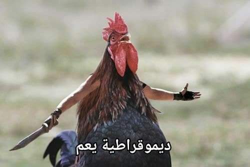 CoNaN (@c_o_n) on Twitter photo 