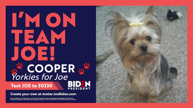 bchristilynn's tweet image. #VoteJoeBiden2020