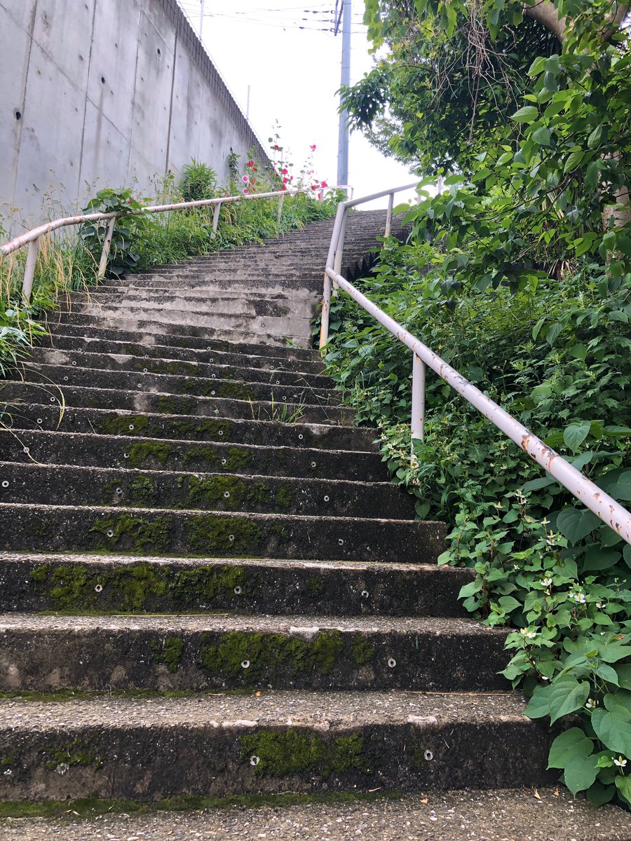 Yokohama Views 横浜ではよく見る わりと普通の公道 スロープと階段 コラボは当たり前 登りきったその先にまた階段 も当たり前w 坂の多い道を毎日往復するので 横浜の人達はスタイルが良い キッパリ 横浜 開港記念日 Yokohama