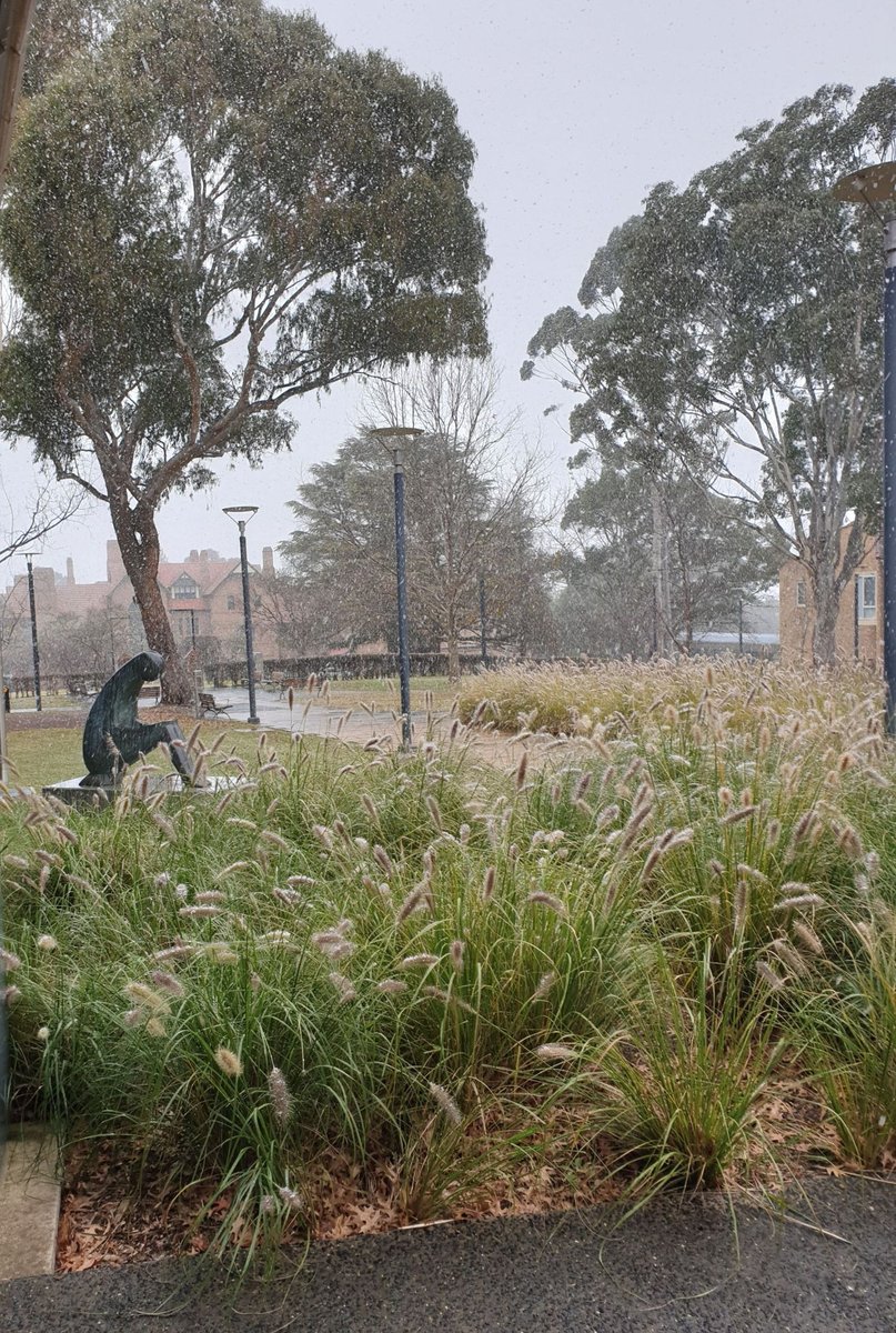Uni of New England (@uninewengland) on Twitter photo A light dusting of #snow on the Armidale campus this morning. Here, pretty and gone! 📷: <a href="/peta_macdougall/">Peta MacDougall</a> A light dusting of #snow on the Armidale campus this morning. Here, pretty and gone! 📷: <a href="/peta_macdougall/">Peta MacDougall</a>