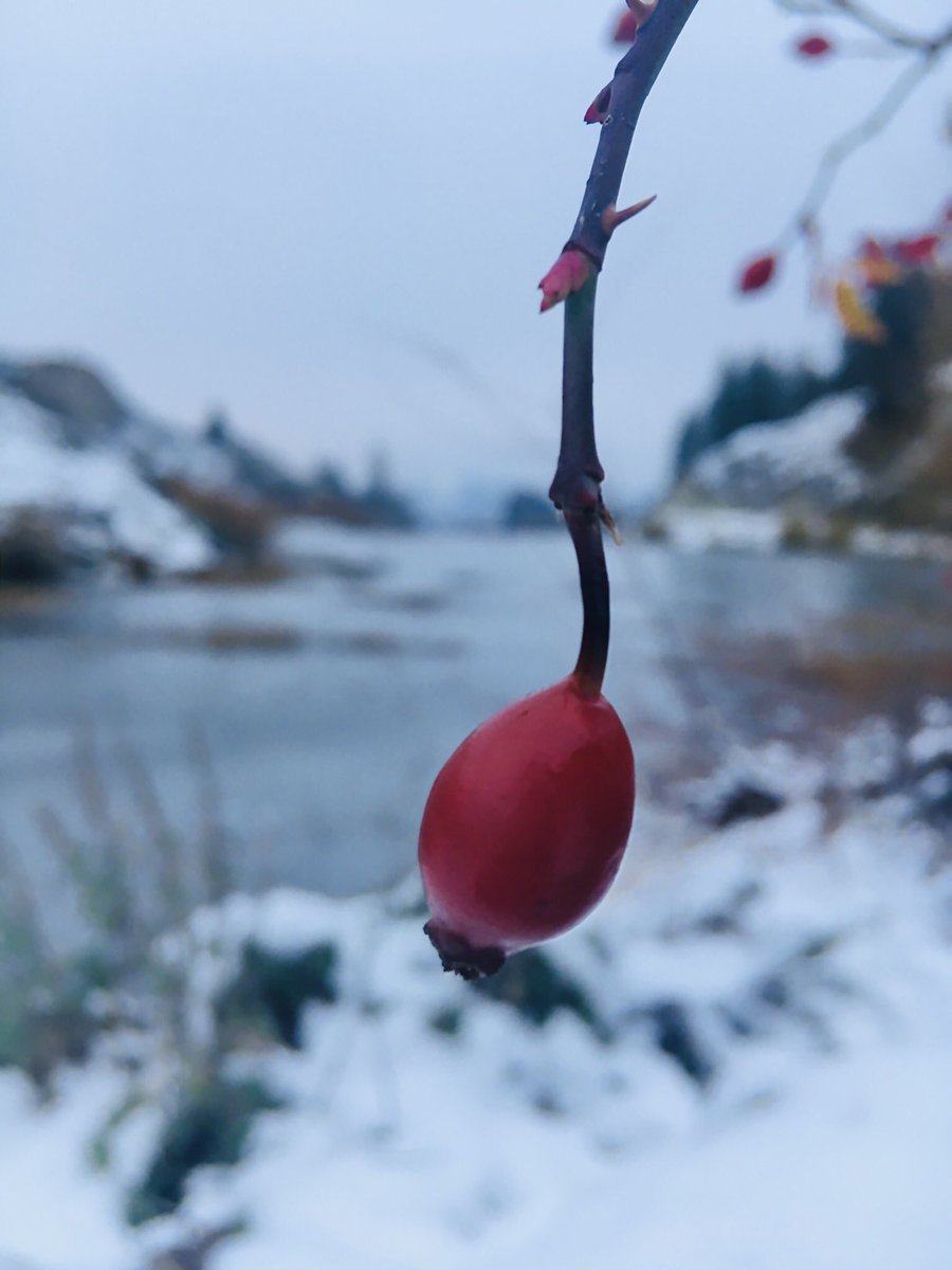 Así paso primer nevada en la ciudad y nos regalo sus bellas postales. ⛄️ #Esquel