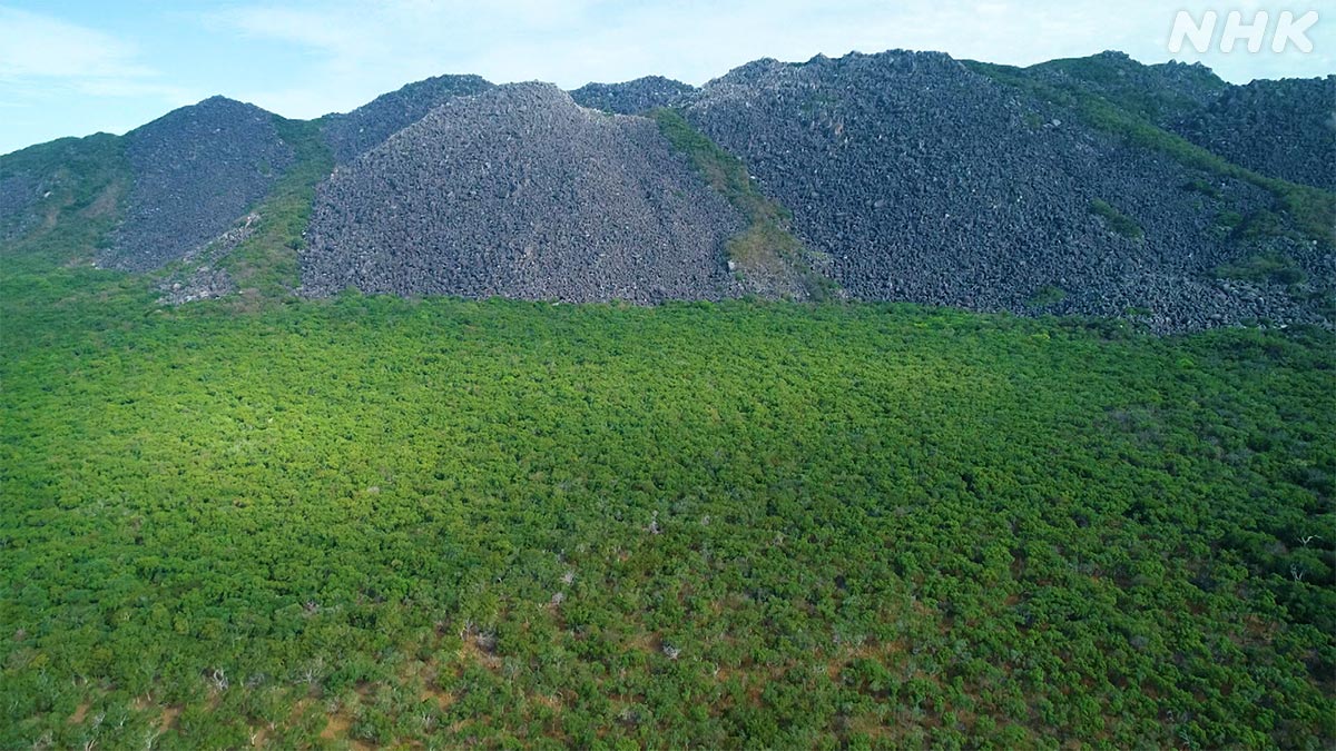 ダーウィンが来た 巨大な岩が積み重なってできたメルヴィル山地 オーストラリア 小さいころ 小石を集めて作った山を思い出しました 規模が違いすぎる T Co C2ix62s0te ダーウィンが来た T Co Yak9uuyzvc Twitter ダーウィンが来た 巨大な岩が積み重なってできたメルヴィル山地 オーストラリア 小さいころ 小石を集めて作った山を思い出しました 規模が違いすぎる T Co C2ix62s0te ダーウィンが来た T Co Yak9uuyzvc Twitter