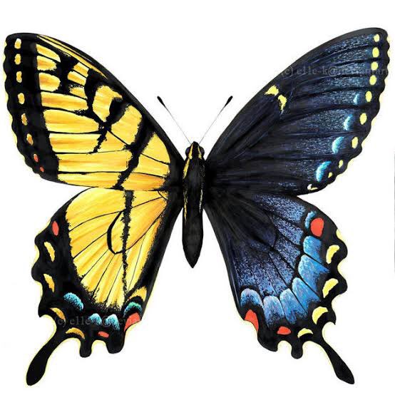 EZeUtH4U4AA2xQK.jpg?format=jpg