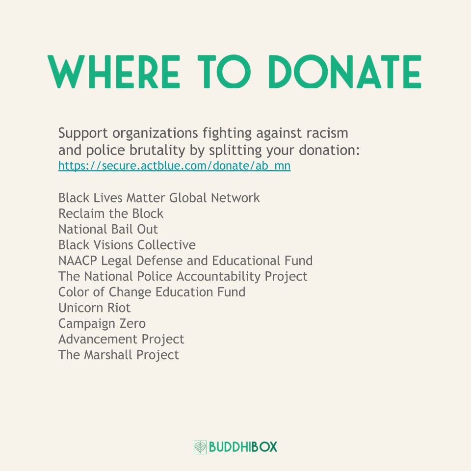 BuddhiBoxes's tweet photo. We stand for everyone everywhere living without the threat of violence. We will keep working to become educated, to become aware of our innate cultural biases, privilege and racism 🤍

Donate: https://t.co/gvUhU5NjgT

#BlackLivesMatter https://t.co/QfEqSZjXY7