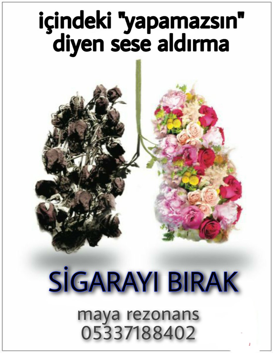 mayawellnesss's tweet photo. #biorezonans
#sigarabirakmayontemi
#sigarazammı 
#sigara 
#kokusuzhayat 
#saglikliyasam https://t.co/eE8itMNd15