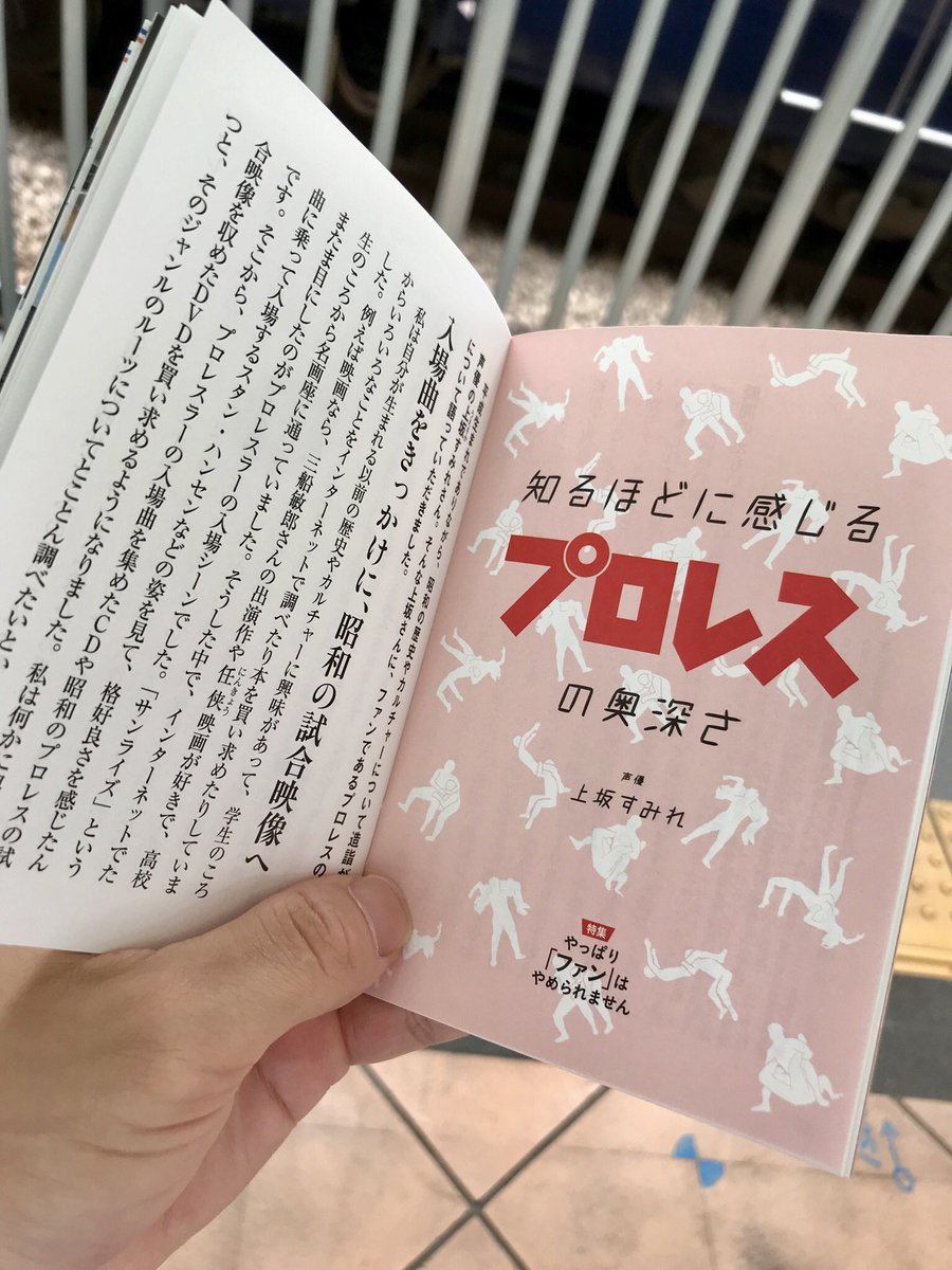 りんかん すみぺがプロレスについて語る相鉄瓦版get